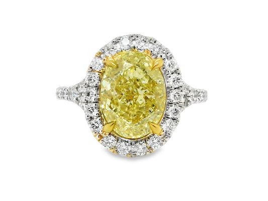 Natural Oval Fancy Light Yellow Diamond Halo ring, in Yellow Gold